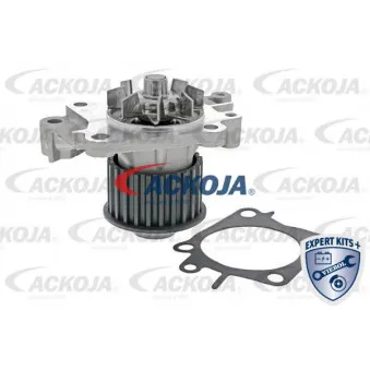 Pompe à eau ACKOJA A37-50006