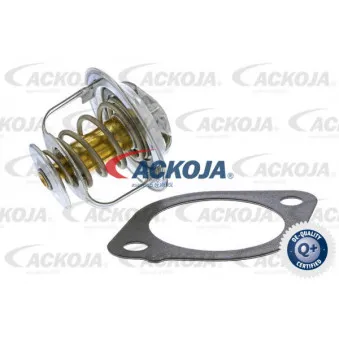 Thermostat d'eau ACKOJA A37-99-0010