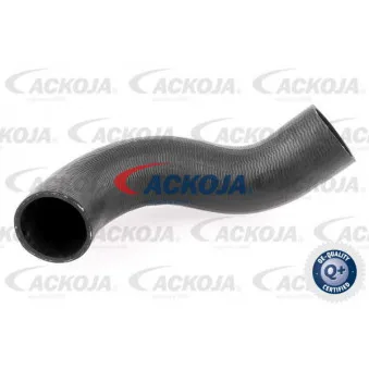 Gaine de suralimentation ACKOJA A38-0298
