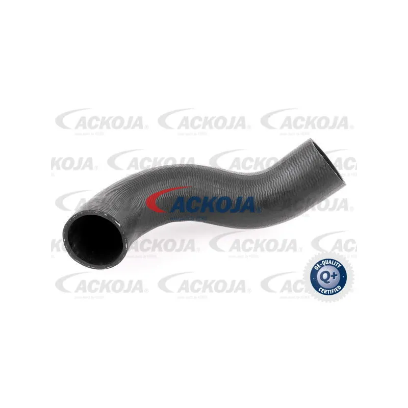 Gaine de suralimentation ACKOJA A38-0298