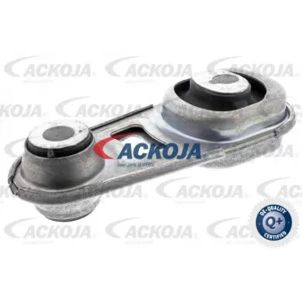 Support moteur ACKOJA A38-0341