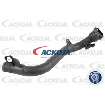 Gaine de suralimentation ACKOJA A38-0387