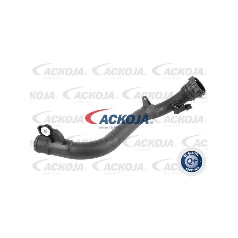 Gaine de suralimentation ACKOJA A38-0387