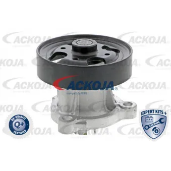 Pompe à eau ACKOJA A38-50005