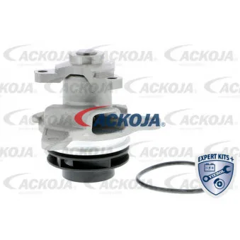 Pompe à eau ACKOJA A38-50010