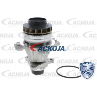 Pompe à eau ACKOJA A38-50011