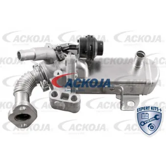 Module-EGR ACKOJA