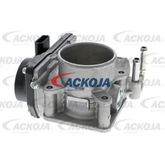 Corps papillon ACKOJA A38-81-0006
