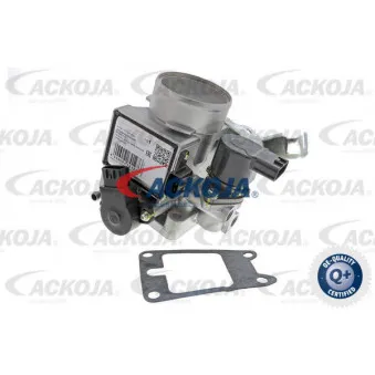 Corps papillon ACKOJA A38-81-0009