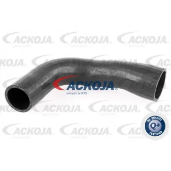 Gaine de suralimentation ACKOJA A38-9600