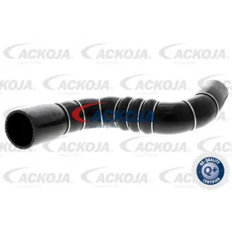 Gaine de suralimentation ACKOJA A38-9602