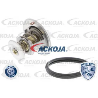 Thermostat d'eau ACKOJA A38-99-0001