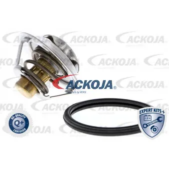 Thermostat d'eau ACKOJA A38-99-0015