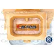 Injecteur ACKOJA A51-11-0001 - Visuel 2