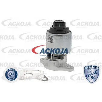 Vanne EGR ACKOJA A51-63-0005