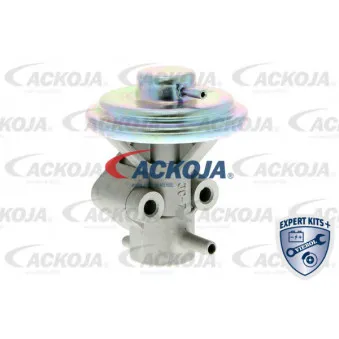 Vanne EGR ACKOJA A51-63-0008