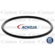 Pompe à eau ACKOJA A52-0703 - Visuel 2