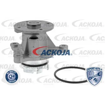 Pompe à eau ACKOJA A52-0708