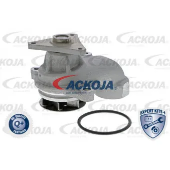Pompe à eau ACKOJA A52-0709