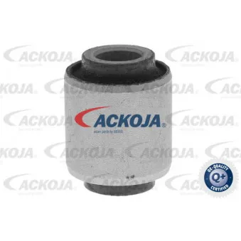 Support, silentbloc du bras transversal ACKOJA A52-1174