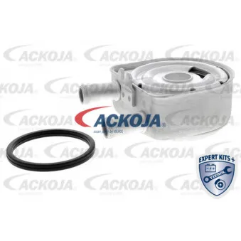 Radiateur d'huile ACKOJA A52-60-0010