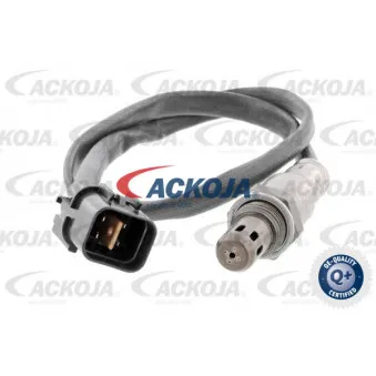 Sonde lambda ACKOJA A52-76-0019