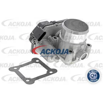 Corps papillon ACKOJA A52-81-0007