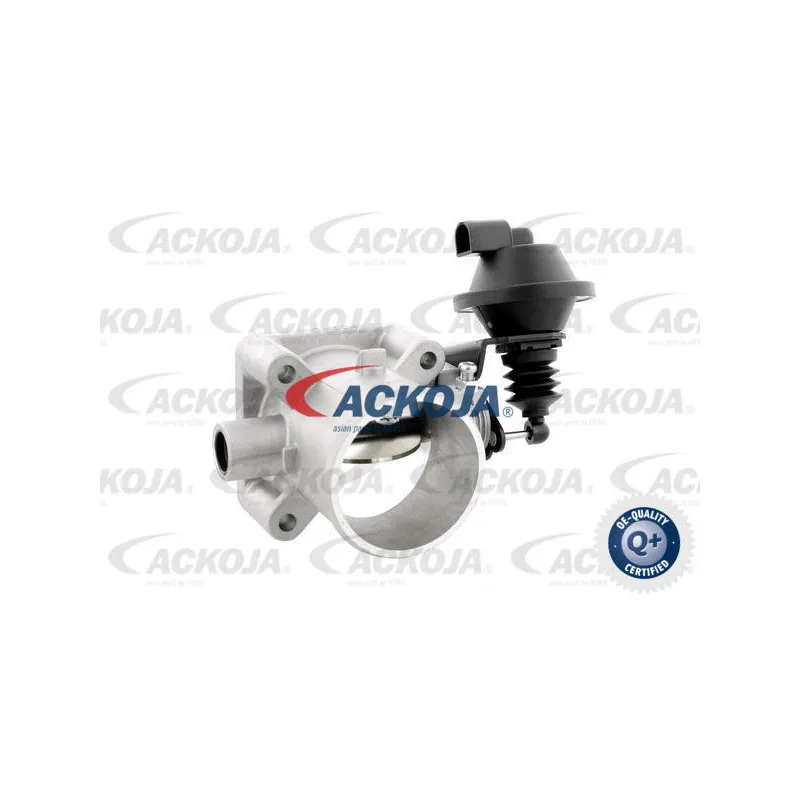 Corps papillon ACKOJA A52-81-0008