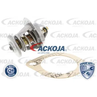 Thermostat d'eau ACKOJA A52-99-0006