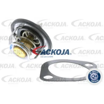 Thermostat d'eau ACKOJA A52-99-0011