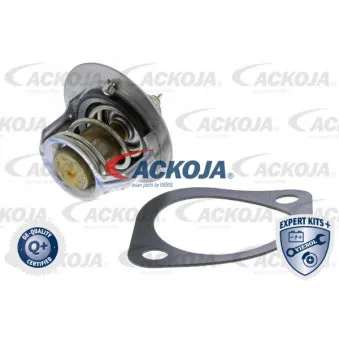 Thermostat d'eau ACKOJA A52-99-0014