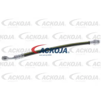 Flexible de frein arrière droit ACKOJA A53-0196