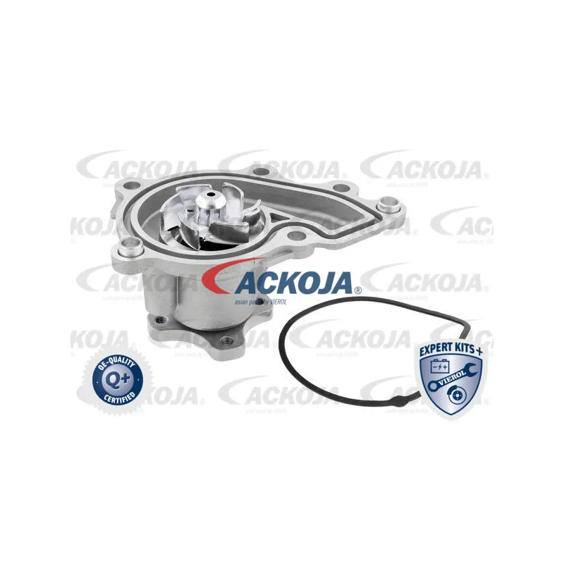 Pompe à eau ACKOJA A53-0700