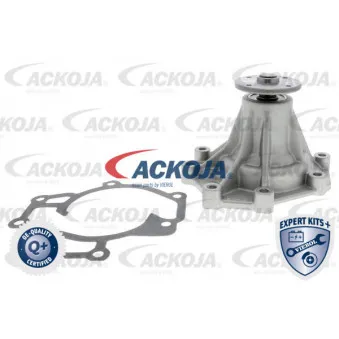 Pompe à eau ACKOJA A53-0701
