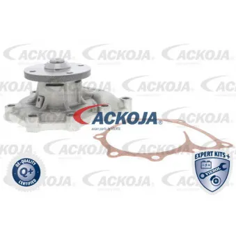Pompe à eau ACKOJA A53-0702