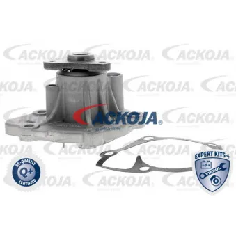 Pompe à eau ACKOJA A53-50003