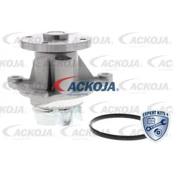 Pompe à eau ACKOJA A53-50010