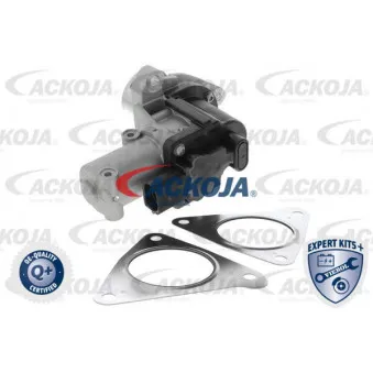 Vanne EGR ACKOJA A53-63-0003