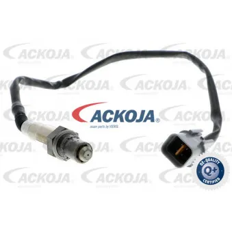 Sonde lambda ACKOJA