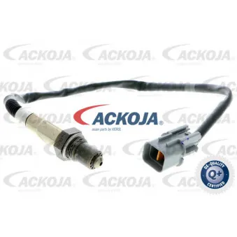 Sonde lambda ACKOJA A53-76-0012