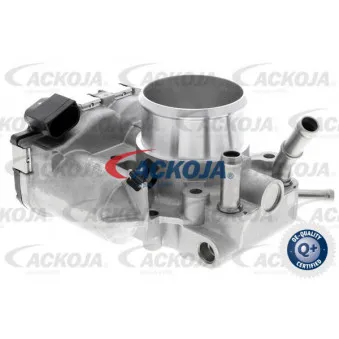 Corps papillon ACKOJA A53-81-0001