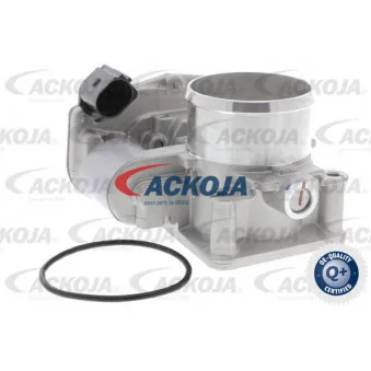 Corps papillon ACKOJA A53-81-0005