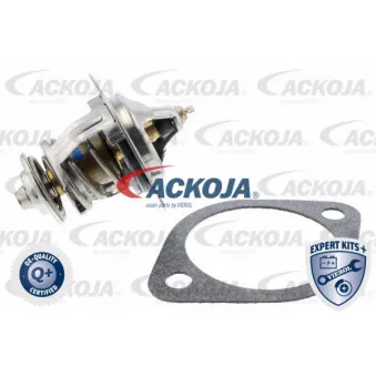 Thermostat d'eau ACKOJA A53-99-0010