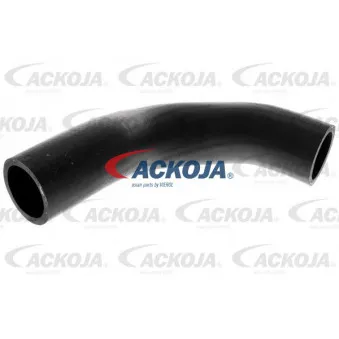 Durite de radiateur ACKOJA A63-1601