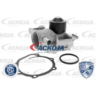 Pompe à eau ACKOJA A63-50001