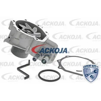 Pompe à eau ACKOJA A63-50003
