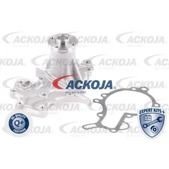 Pompe à eau ACKOJA A64-50002