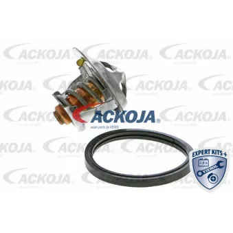Thermostat d'eau ACKOJA A64-99-0006