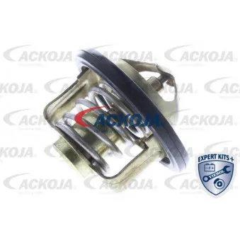 Thermostat d'eau ACKOJA A64-99-0007