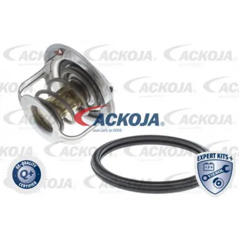 Thermostat d'eau ACKOJA A64-99-0009